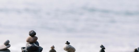 social scaled